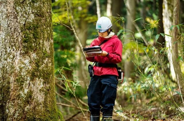 Master of Science (M.Sc.) in Forestry