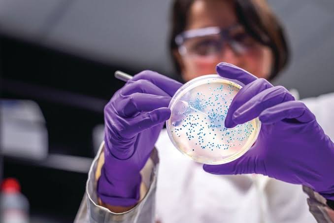 B.Sc. Microbiology