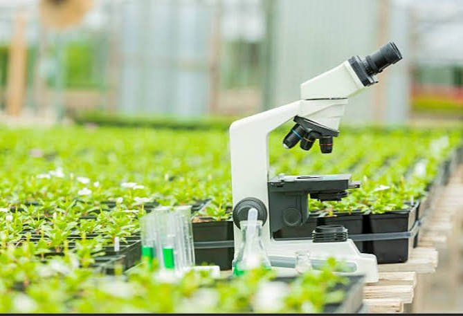 Master of Science in Botany [M.Sc. Botany]