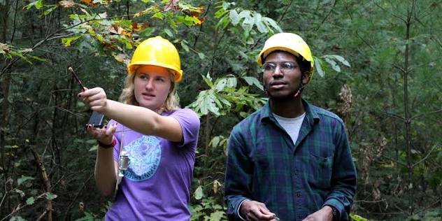 Master of Science in Forestry [M.Sc. Forestry]