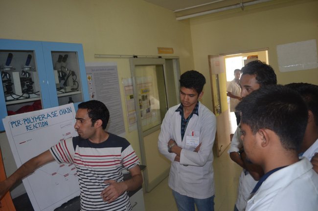 Workshop