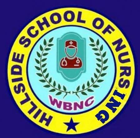 Hillside School & College of Nursing Logo